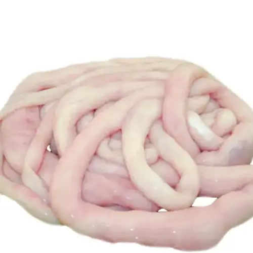 fresh_Boti_intestine