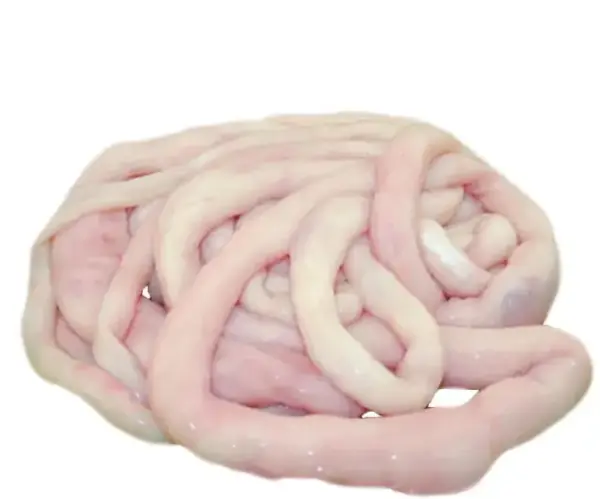 fresh_Boti_intestine